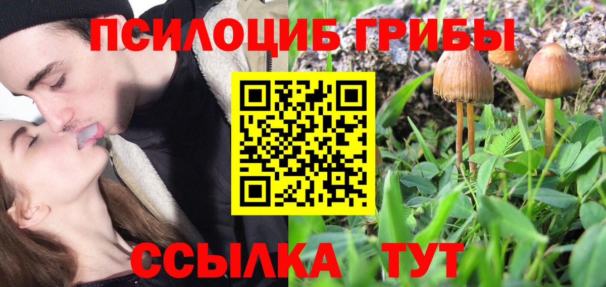 Морозовск  Псилоцибиновые грибы GOLDEN TEACHER  Псилоцибиновые грибы ЛСД  Вход с VPN 