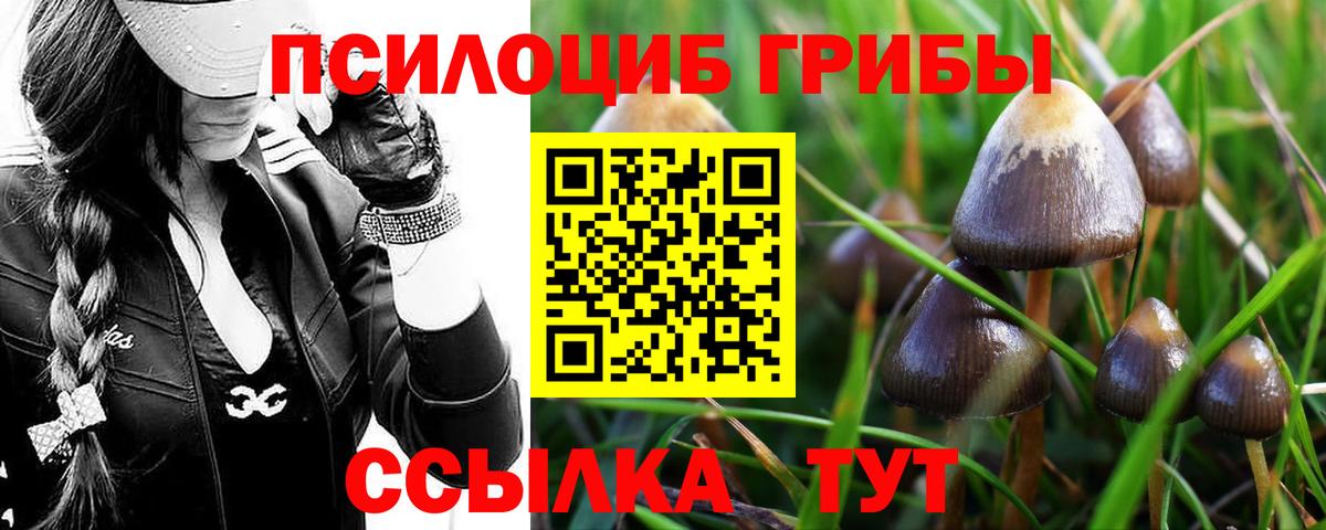 Галлюциногенные грибы Magic Shrooms  Морозовск 