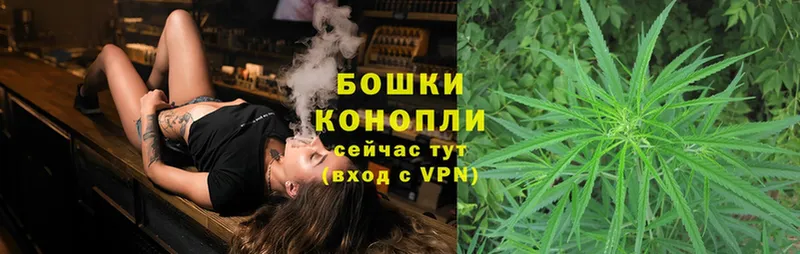 закладка  Морозовск  Бошки Шишки White Widow 